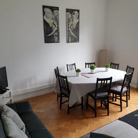 Centre Le 85, Superbe F5, 125m2, 5 Pieces Apartment Strasbourg