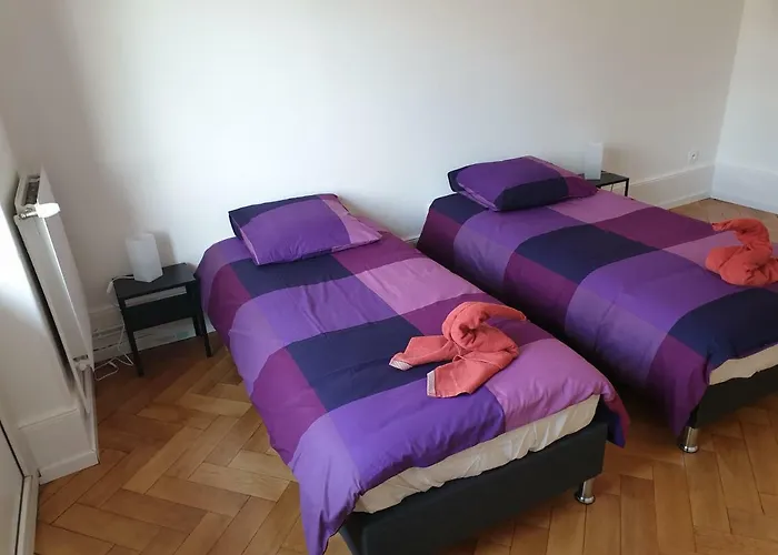Grand Appart Confort - Hyper Centre - Strasbnb Στρασβούργο