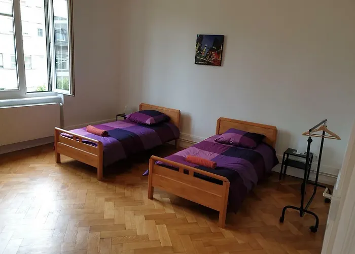 Apartmán Grand Appart Confort - Hyper Centre - Strasbnb Štrasburk