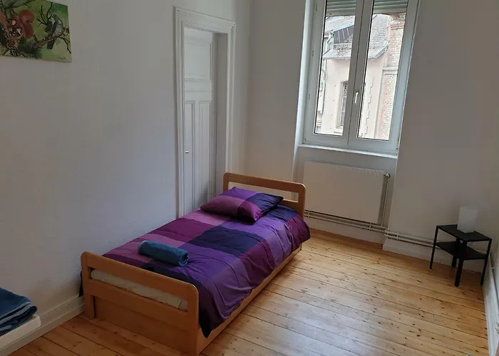 Apartmán Grand Appart Confort - Hyper Centre - Strasbnb Štrasburk