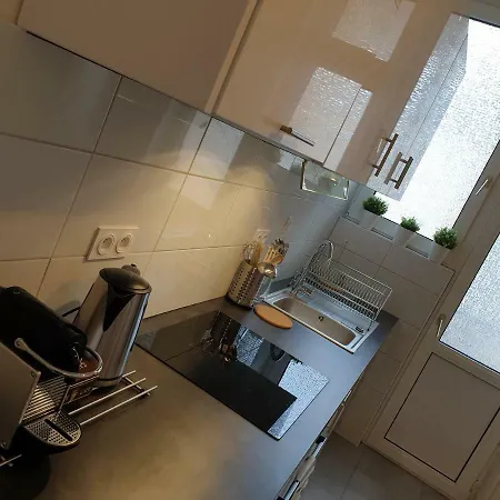 Centre Le 85, Superbe F5, 125m2, 5 Pieces Apartment Strasbourg